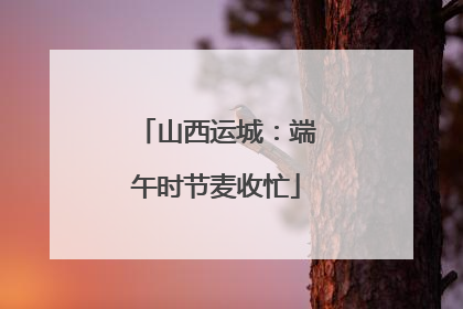 山西运城：端午时节麦收忙